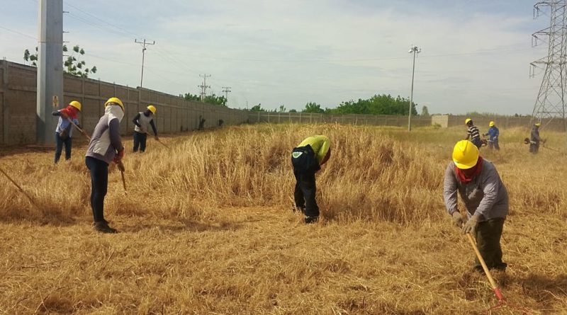 Labores preventivas en instalaciones eléctricas favorecen a más de 80 mil zulianos