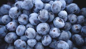 Un ensayo clínico descubrió un enorme beneficio de los arándanos para la salud