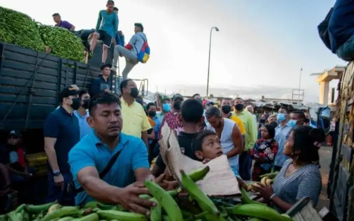Baja precio del plátano por inundaciones de los sembradíos en el Zulia