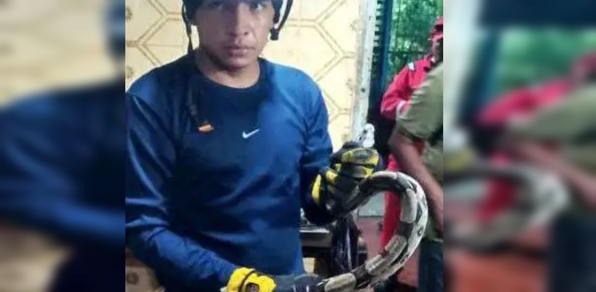 Bomberos rescatan dos tragavenados escondidas en una bodega en Cabimas