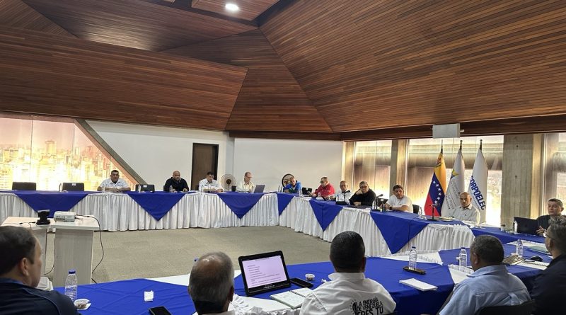 Evalúan estrategias para fortalecer el sector eléctrico