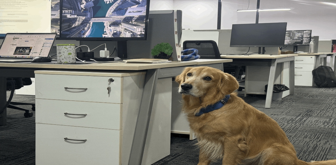 Innovación en RRHH: Empresa busca mejorar el ambiente laboral con un golden retriever como «jefe de felicidad»