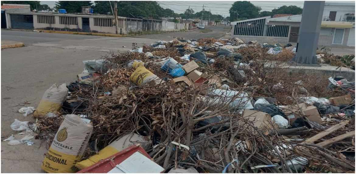 Continúa el abandono: Vecinos denuncian acumulación de basura en el Complejo Deportivo Niños Cantores