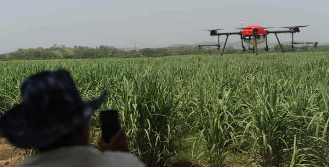 Cuatro centrales azucareros pasan a manos del sector privado en alianza con el Gobierno, anuncia Fedecámaras