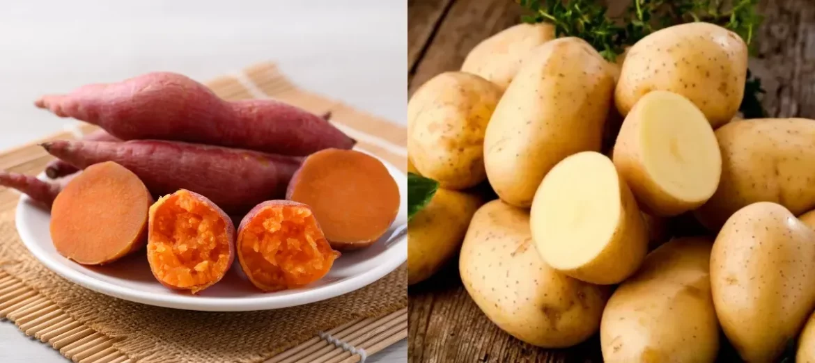 Batata, la reina nutritiva: contiene más vitamina A que la papa blanca