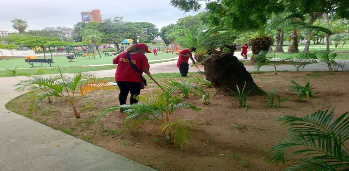 Continúan operativos de limpieza y embellecimiento en avenidas y espacios públicos de Maracaibo