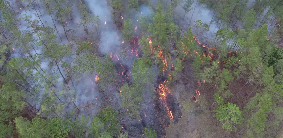 Incendios forestales en República Dominicana aumentan un 57% entre 2020 y 2025